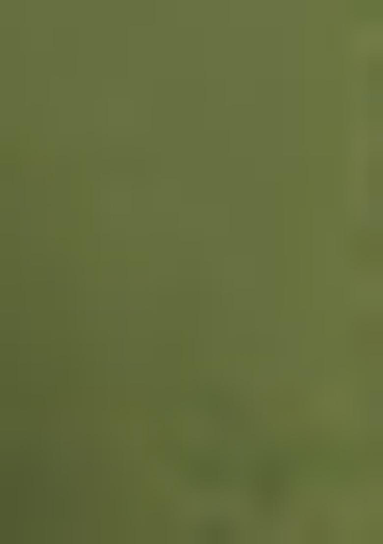 Green Jacket Set With Hand Embroidered Blouse And Palazzo