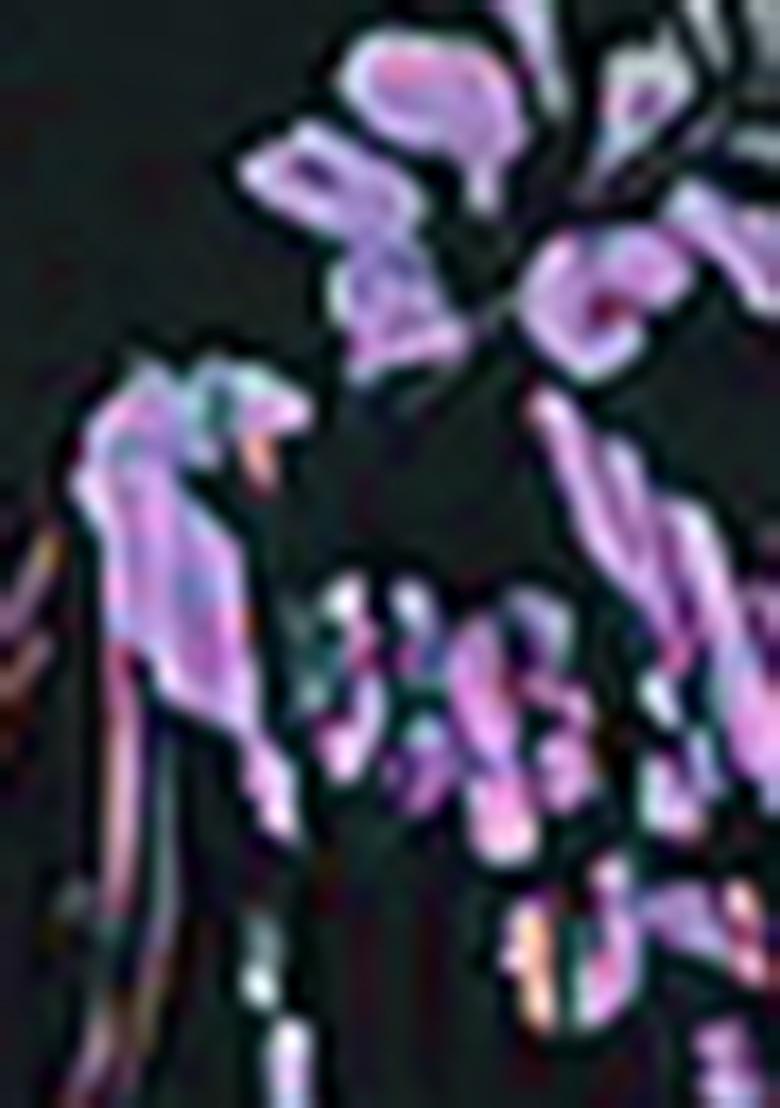 Purple Jacket Set With Hand Embroidered Blouse And Sharara