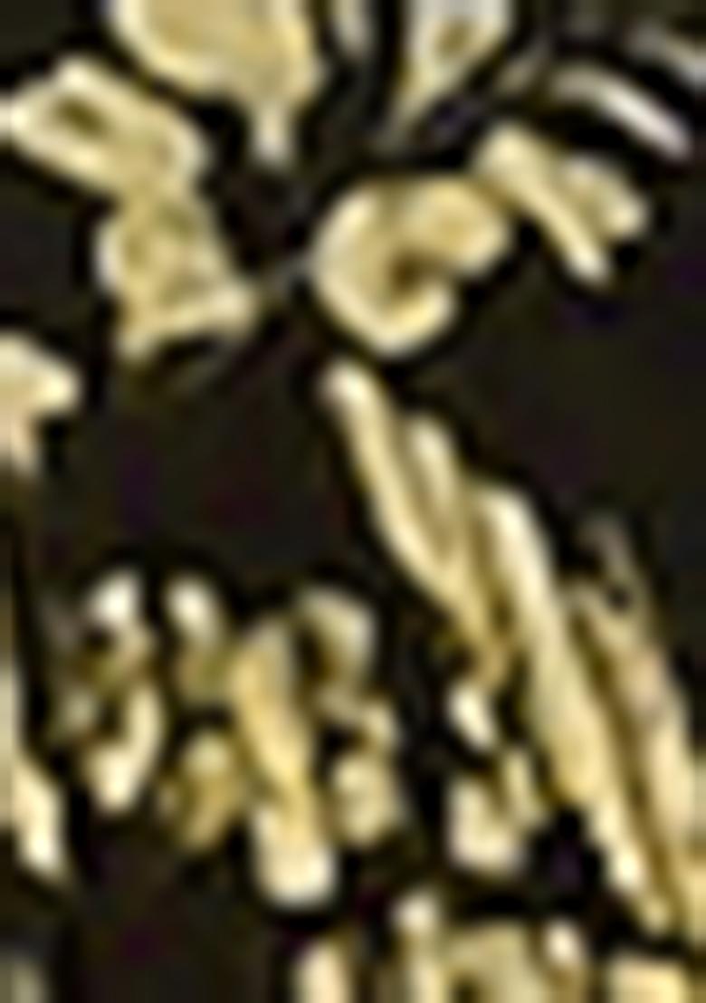 Golden Jacket Set With Hand Embroidered Blouse And Sharara