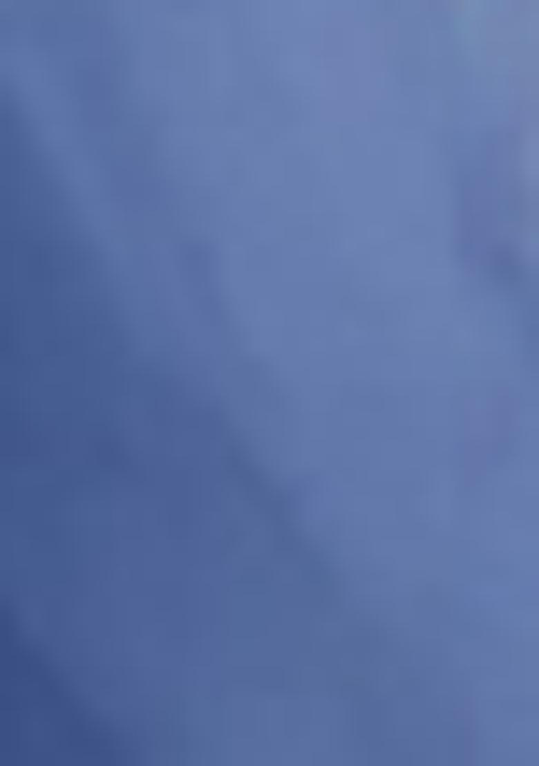 Blue Pants Set With Hand Embroidered Blouse And Dupatta