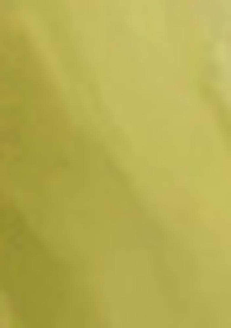 Green Pants Set With Hand Embroidered Blouse And Dupatta