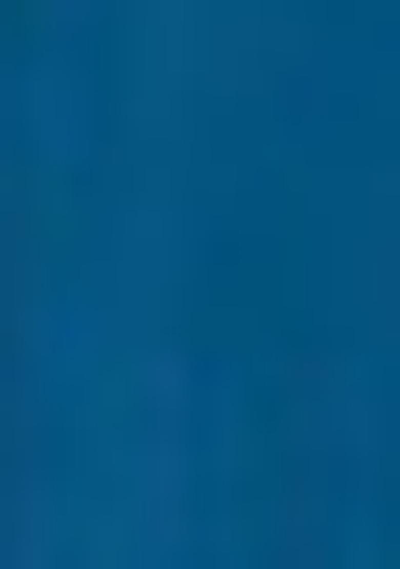 Blue Skirt Set With Hand Embroidered Blouse