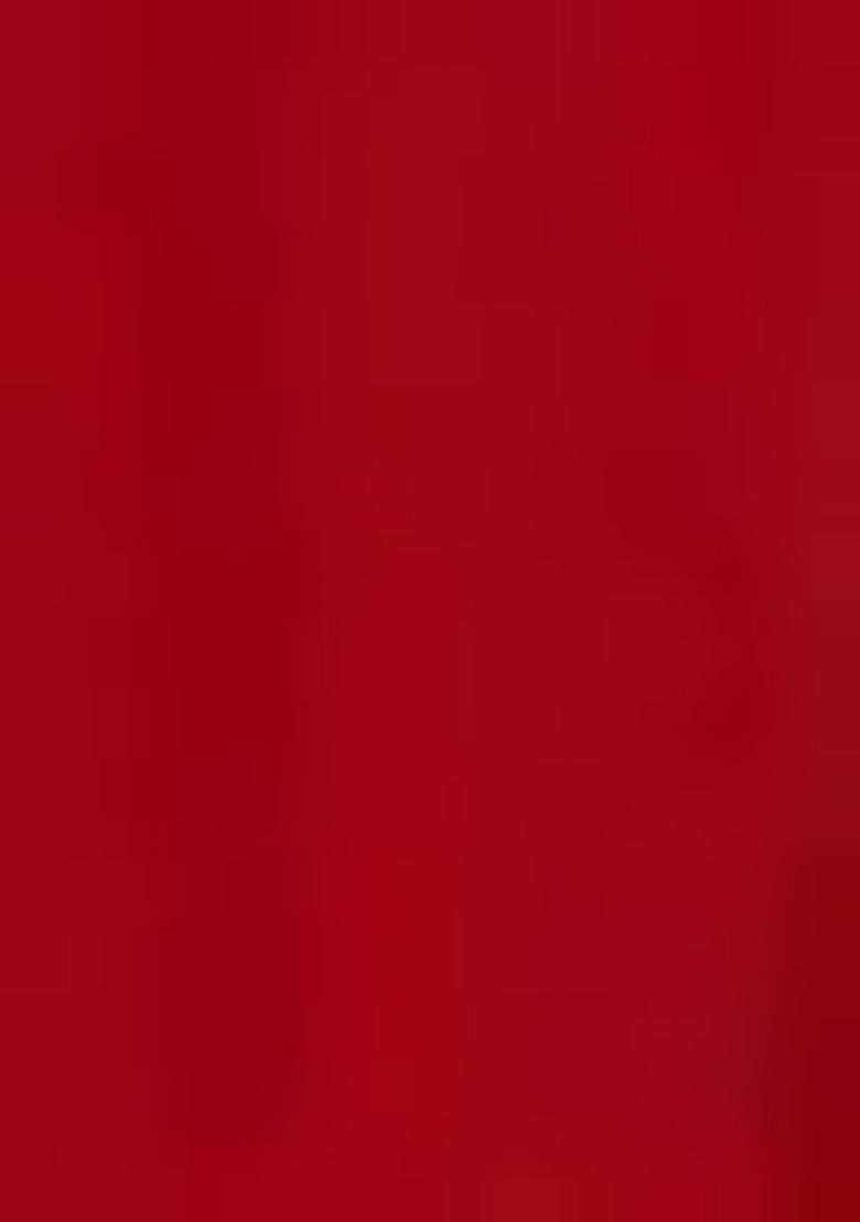 Red Skirt Set With Hand Embroidered Blouse