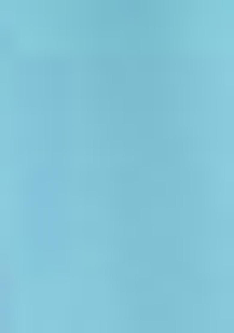 Blue Palazzo Set With Hand Embroidered Blouse And Belt