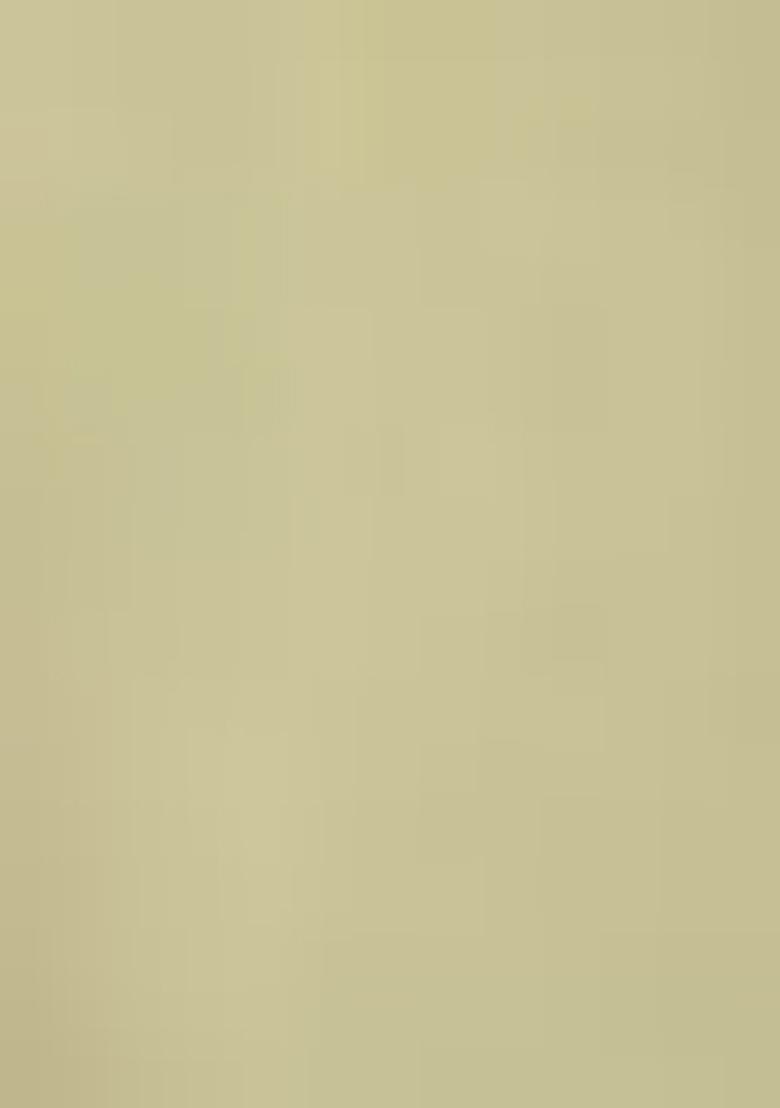 Yellow Palazzo Set With Hand Embroidered Blouse And Belt