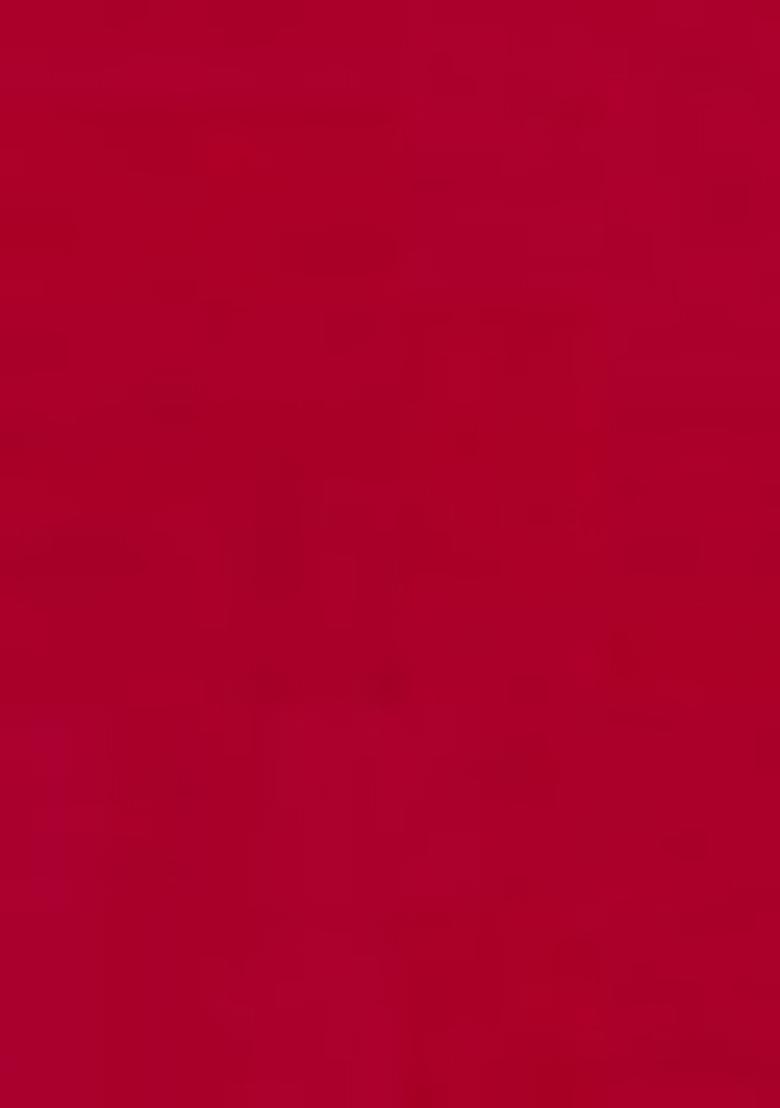 Red Skirt Set With Hand Embroidered Blouse