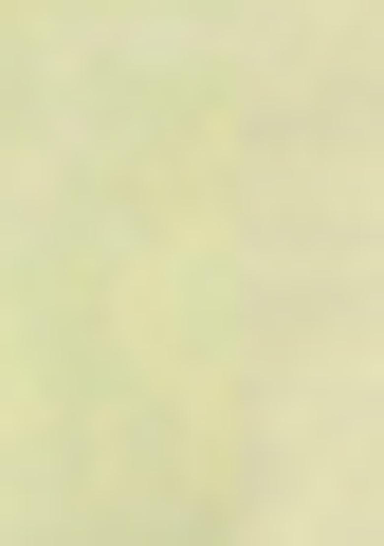 Yellow Palazzo Set With Hand Embroidered Blouse