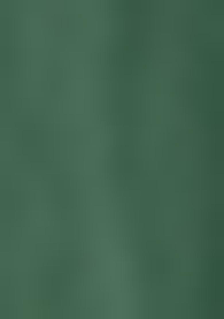 Green Jacket Set With Hand Embroidered Blouse And Skirt