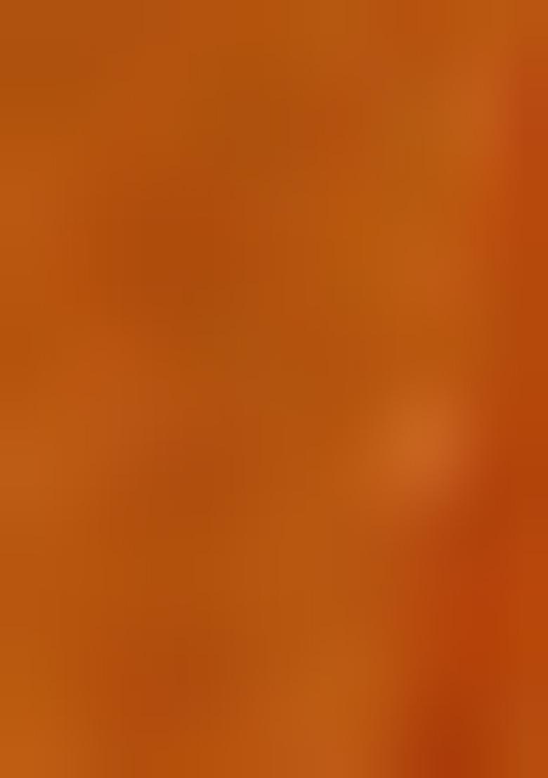 Orange Jacket Set With Hand Embroidered Blouse And Skirt