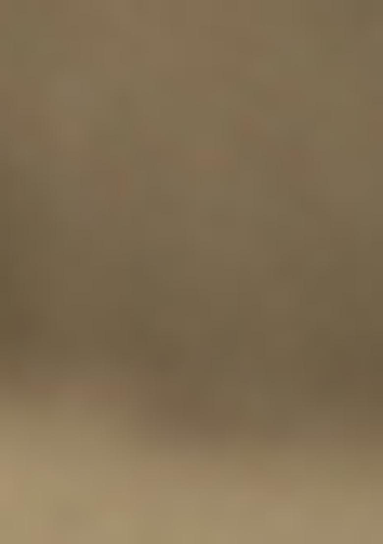 Brown Jacket Set With Hand Embroidered Blouse And Sharara