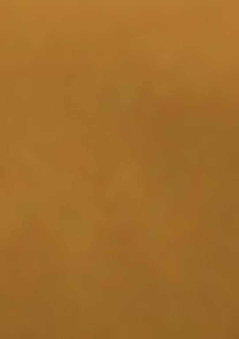 Golden Jacket Set With Hand Embroidered Blouse And Sharara