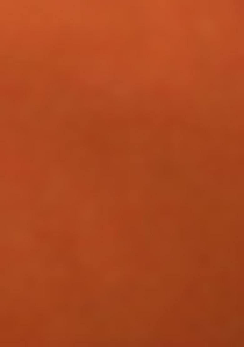 Orange Jacket Set With Hand Embroidered Blouse And Sharara