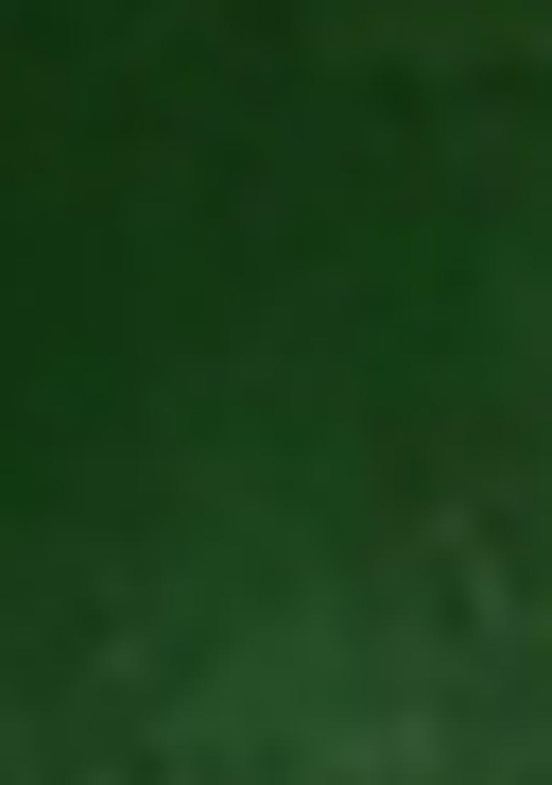 Green Palazzo Set With Hand Embroidered Blouse And Dupatta