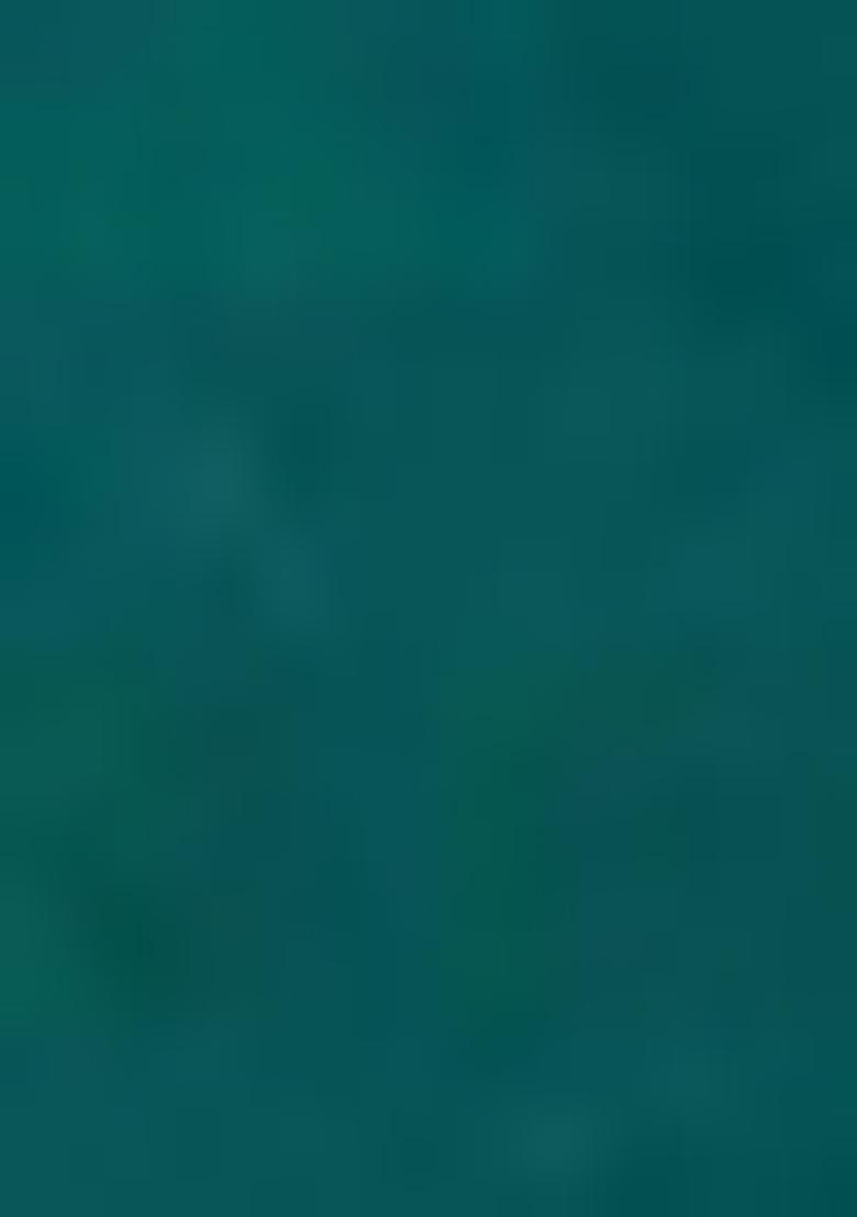 Teal Palazzo Set With Hand Embroidered Blouse And Dupatta