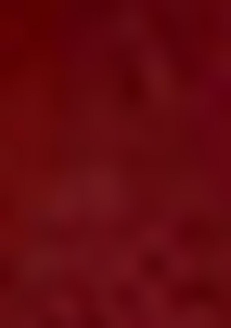 Red Palazzo Set With Hand Embroidered Blouse And Dupatta