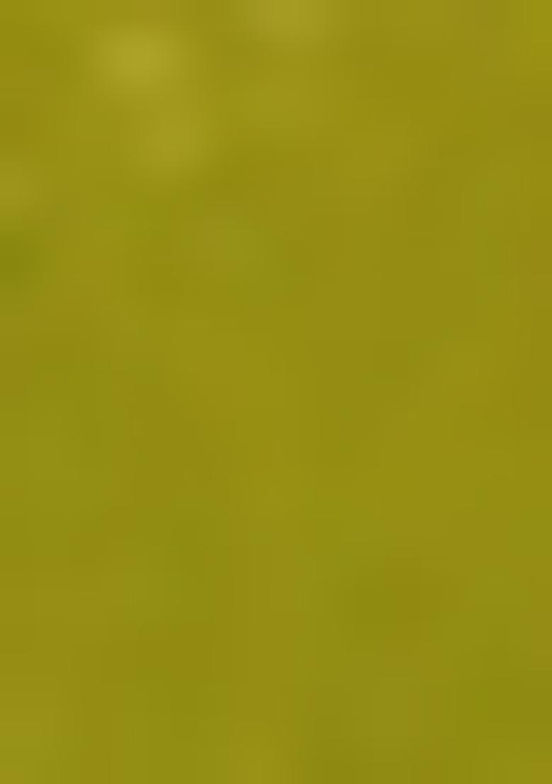 Olive Jacket Set With Hand Embroidered Blouse And Sharara