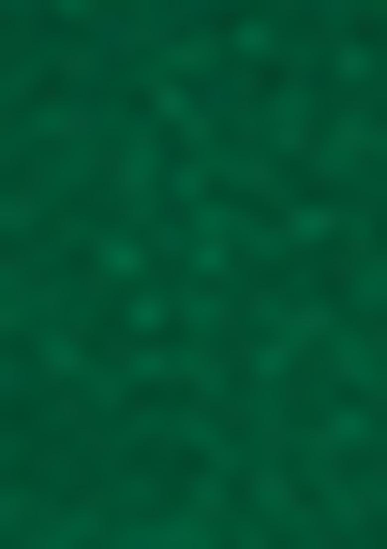 Green Jacket Set With Hand Embroidered Blouse And Palazzo