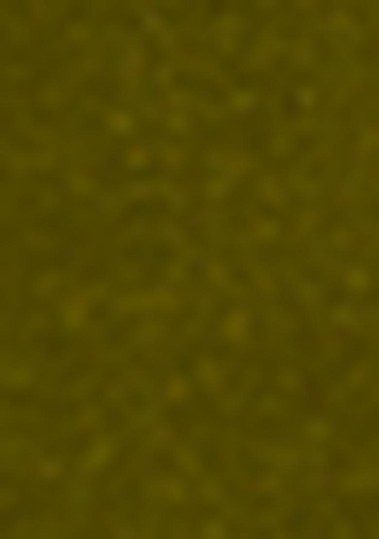 Olive Jacket Set With Hand Embroidered Blouse And Palazzo