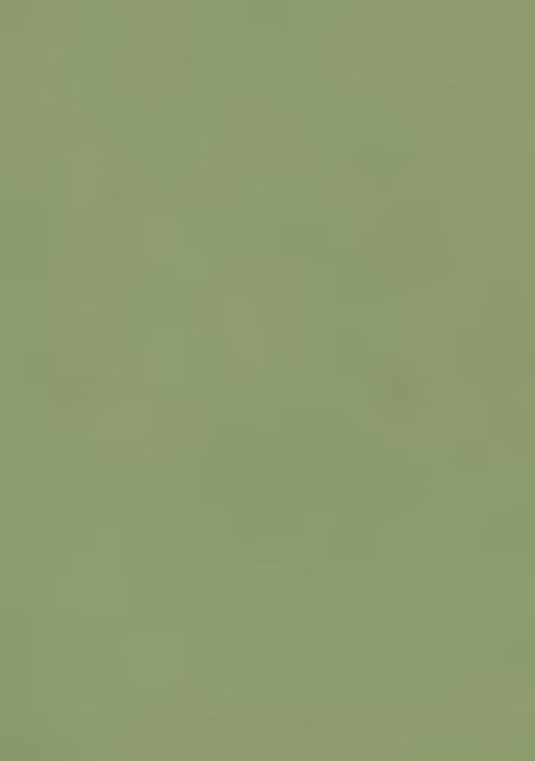 Olive Jacket Set With Hand Embroidered Blouse And Palazzo