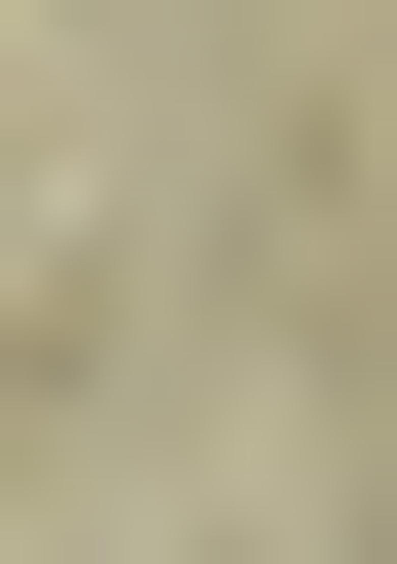 Light Olive Skirt Set With Hand Embroidered Kurta And Dupatta