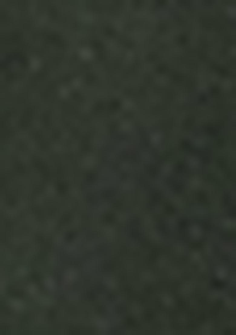 Olive Green Sharara Set With Hand Embroidered Kurta