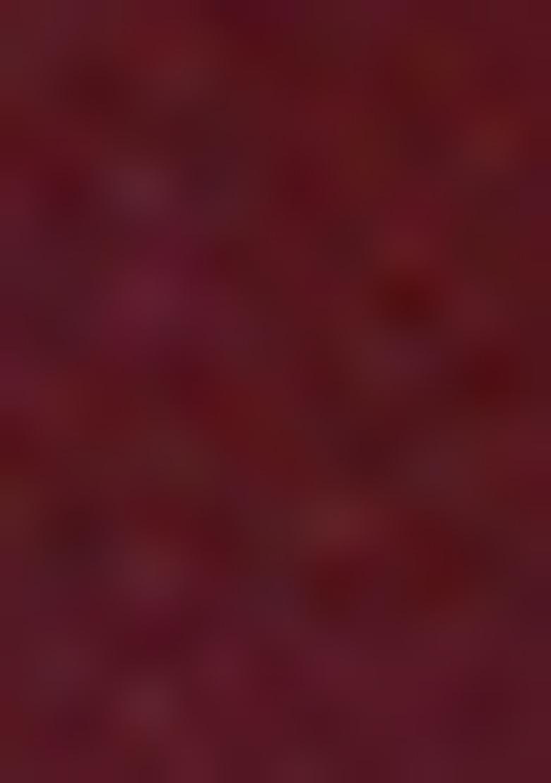 Maroon Sharara Set With Hand Embroidered Kurta