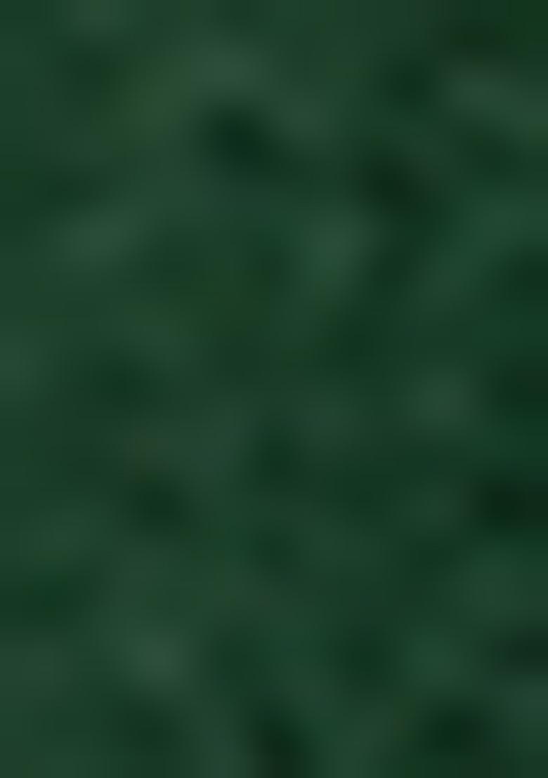 Dark Green Sharara Set With Hand Embroidered Kurta