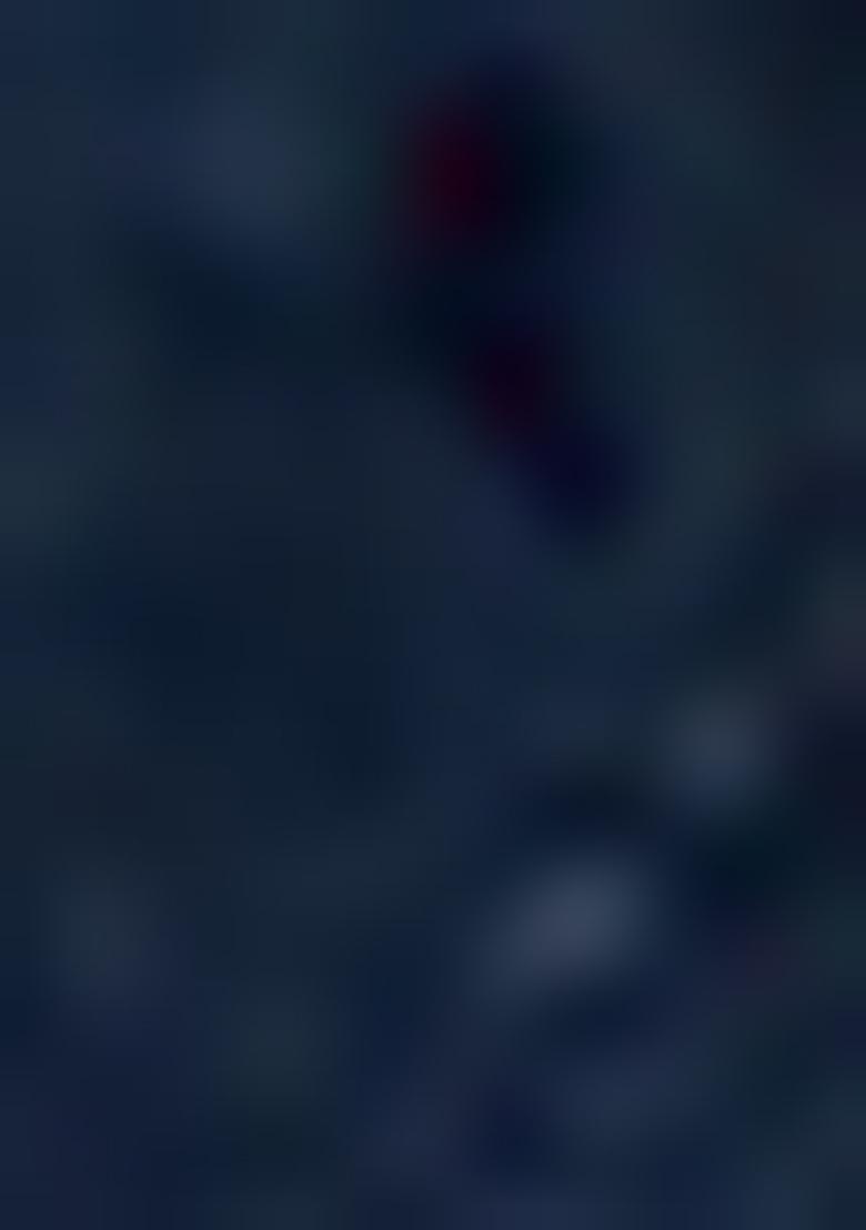 Navy Blue Sharara Set With Hand Embroidered Kurta And Dupatta