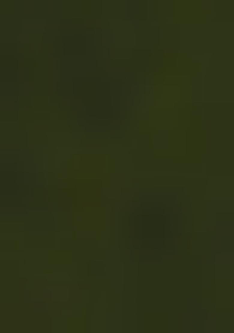 Olive Green Palazzo Set With Hand Embroidered Kurta And Dupatta