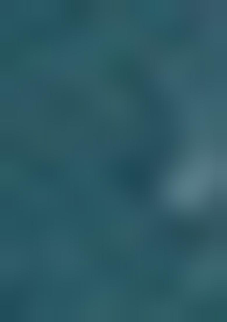 Teal Blue Anarkali Set With Hand Embroidered Dupatta