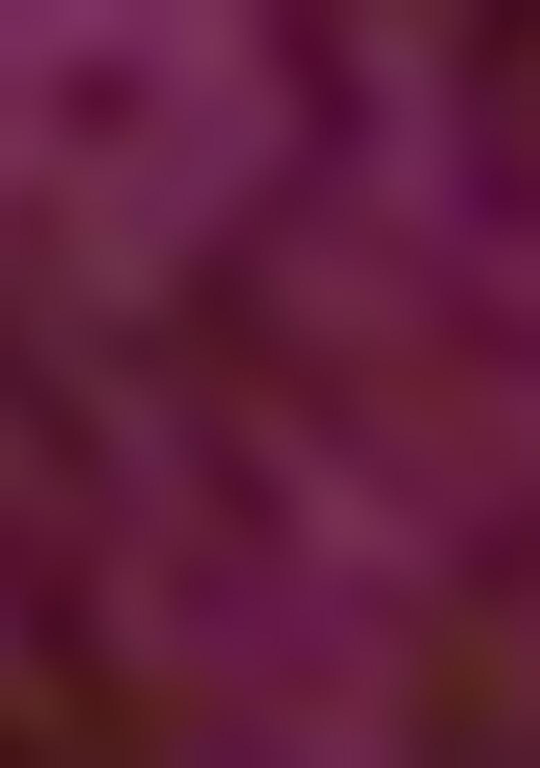 Purple Kurta Set With Hand Embroidered Salwar And Dupatta