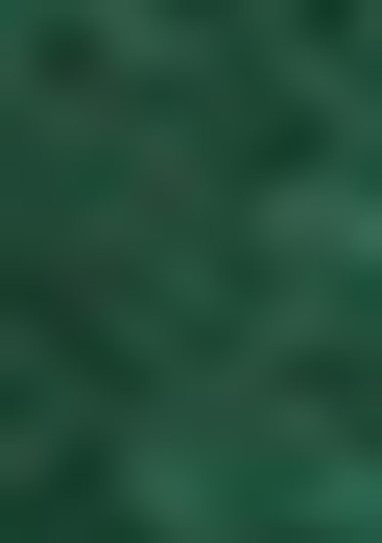 Dark Green Kurta Set With Hand Embroidered Salwar And Dupatta