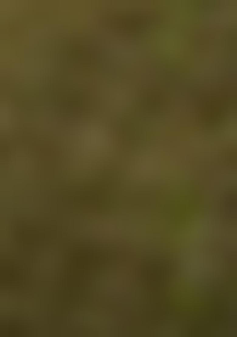 Green Kurta Set With Hand Embroidered Salwar And Dupatta