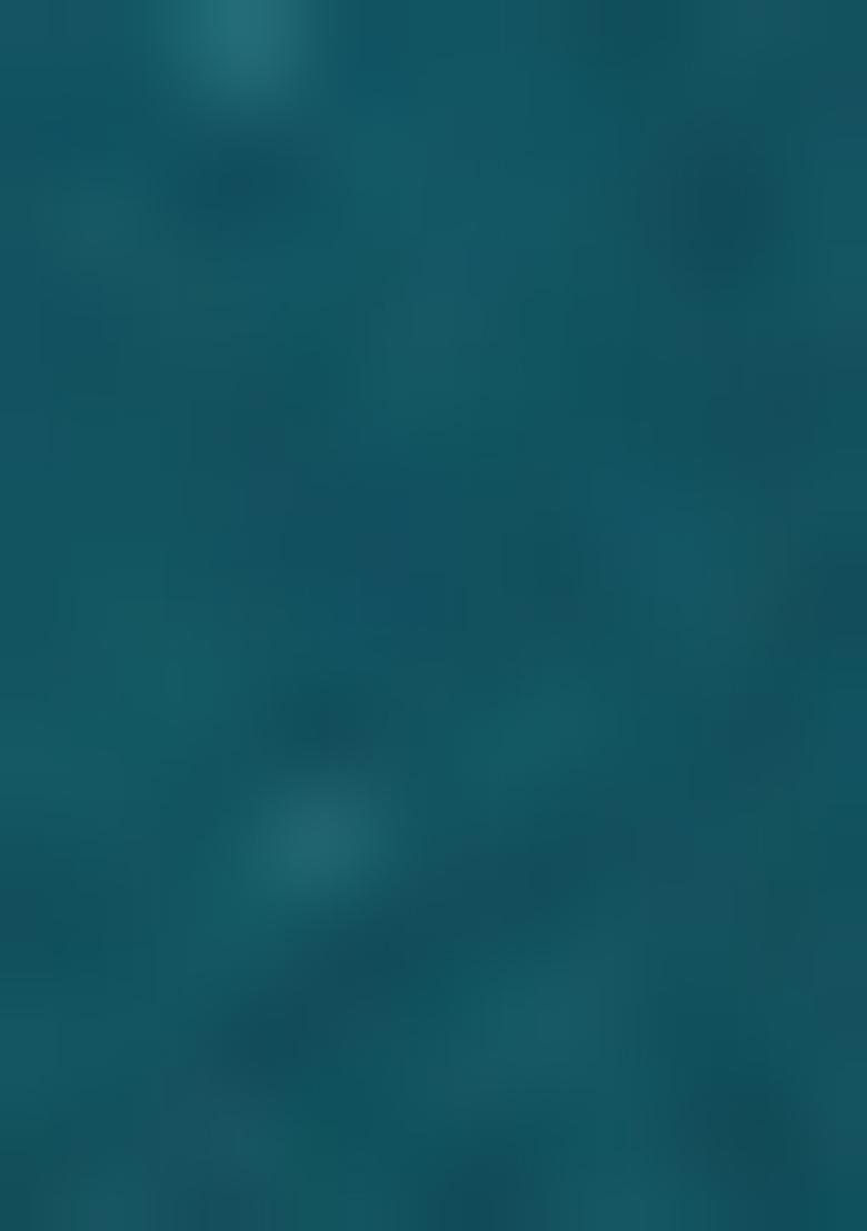 Blue Sharara Set With Hand Embroidered Kurta And Dupatta