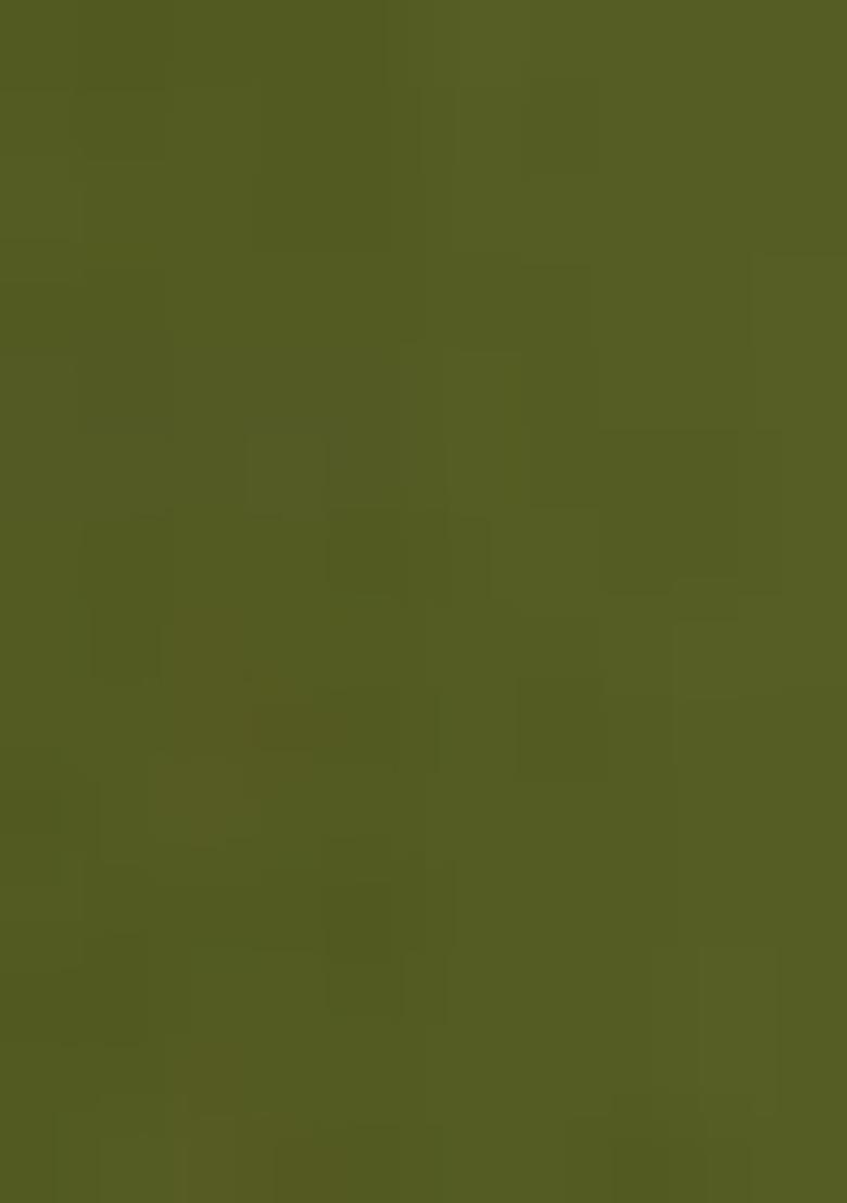 Green Palazzo Set With Hand Embroidered Kurta And Dupatta