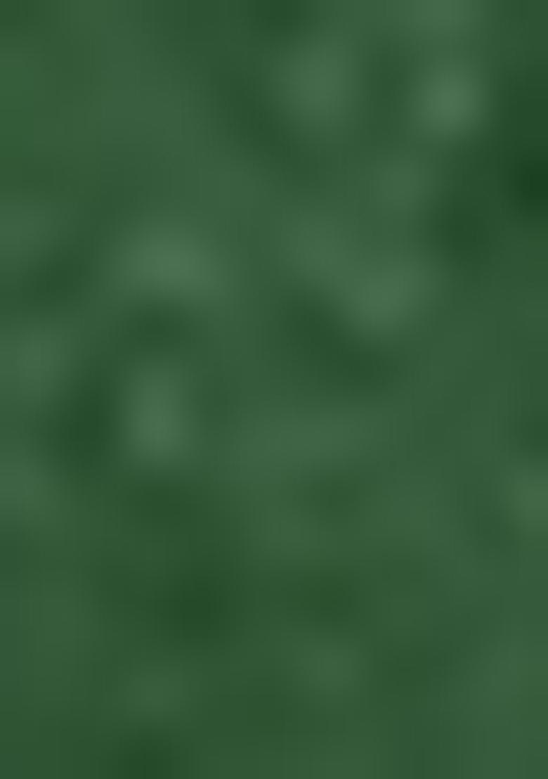 Green Anarkali Set With Hand Embroidered Pant And Dupatta