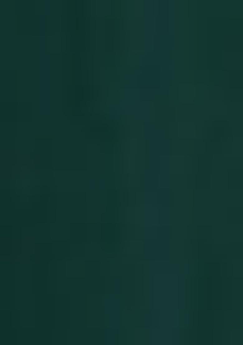 Green Palazzo Set With Hand Embroidered Kurta And Dupatta