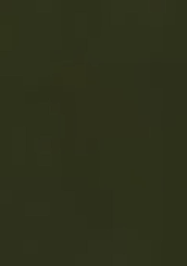 Olive Kurta Set With Hand Embroidered Churidar And Dupatta