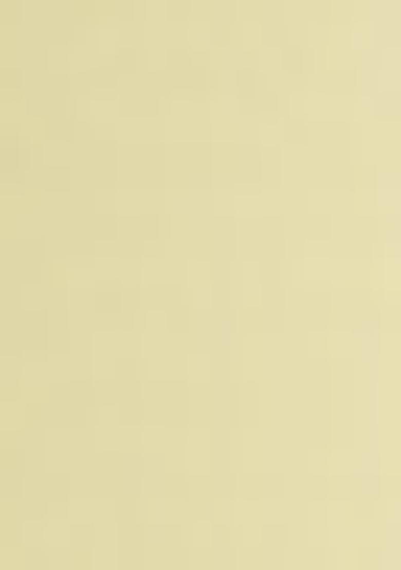 Olive Palazzo Set With Hand Embroidered Kurta And Dupatta