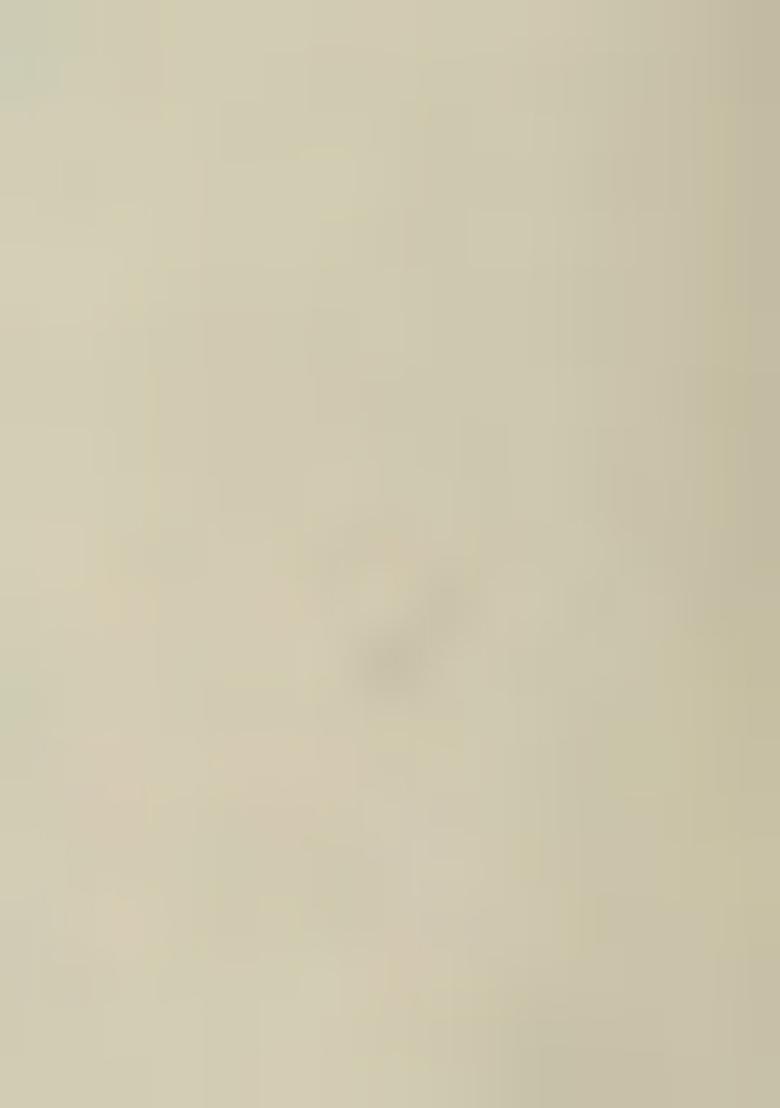 Olive Palazzo Set With Hand Embroidered Kurta And Dupatta