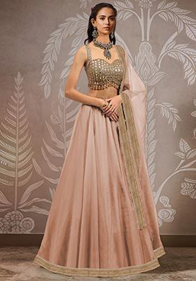 Beige Hand Embroidered Organza Lehenga Set