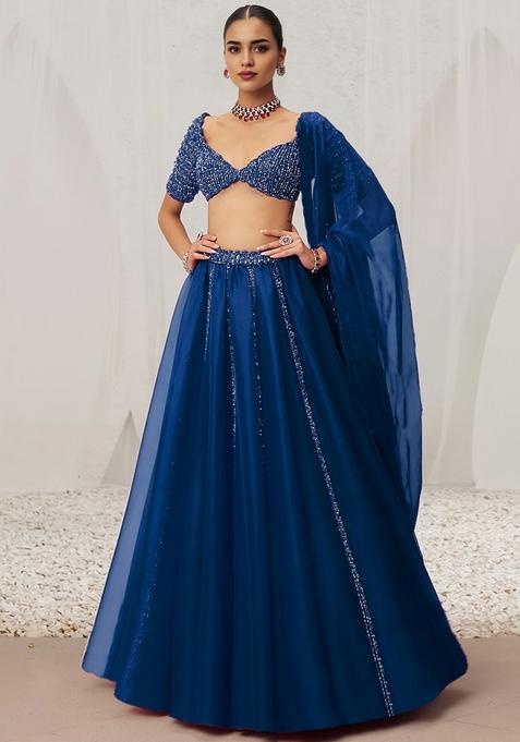 Navy Blue Hand Embroidered Organza Lehenga Set