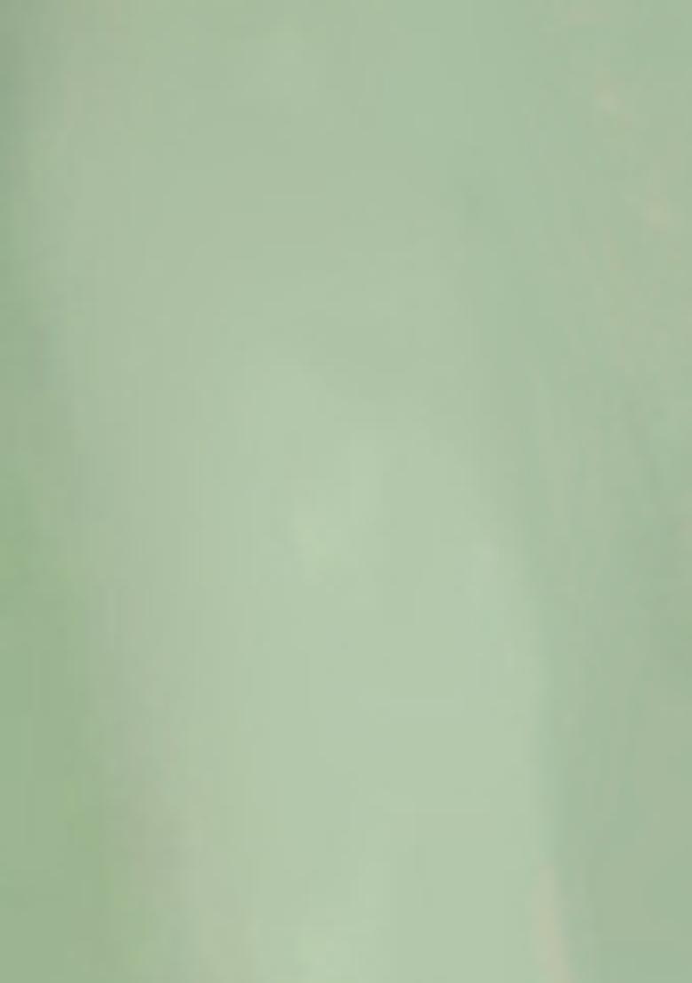 Light Green Lehenga Set With Hand Embroidered Blouse And Dupatta