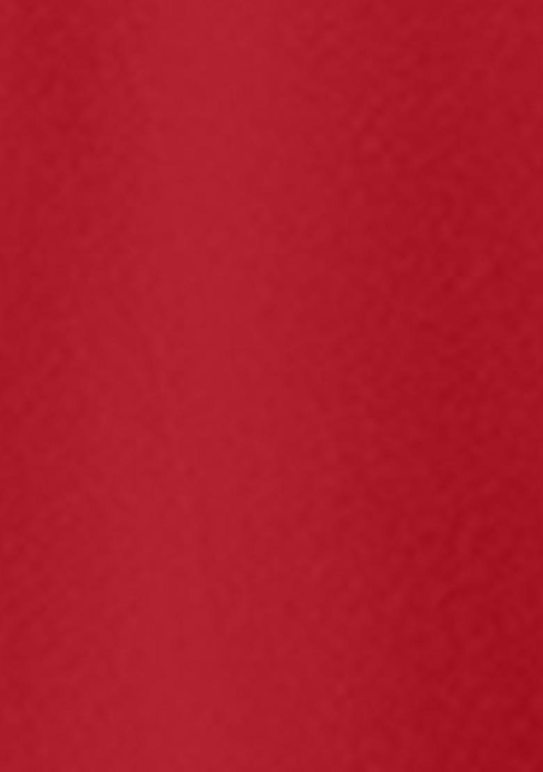 Red Lehenga Set With Hand Embroidered Blouse And Dupatta