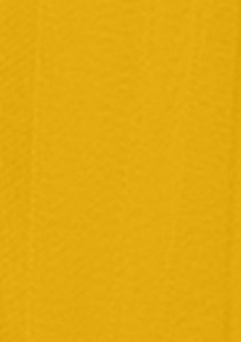 Yellow Lehenga Set With Hand Embroidered Blouse And Jacket