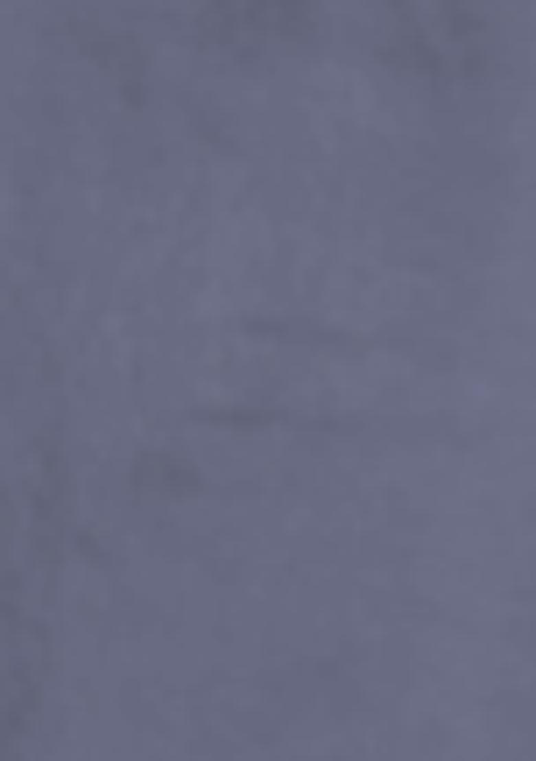 Stone Grey Lehenga Set With Hand Embroidered Blouse And Dupatta