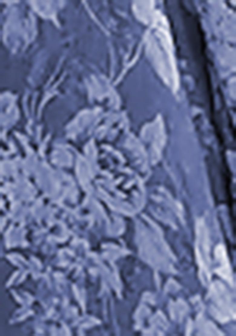 Blue Lehenga Set With Hand Embroidered Blouse And Dupatta