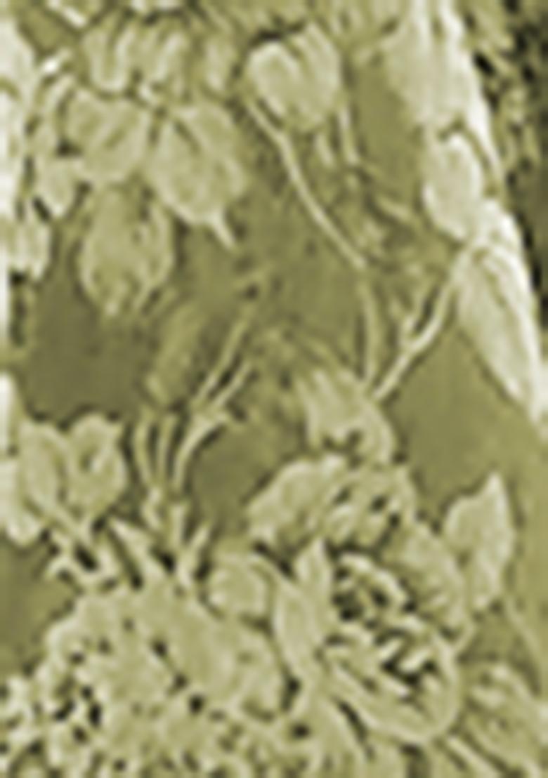 Olive Green Lehenga Set With Hand Embroidered Blouse And Dupatta