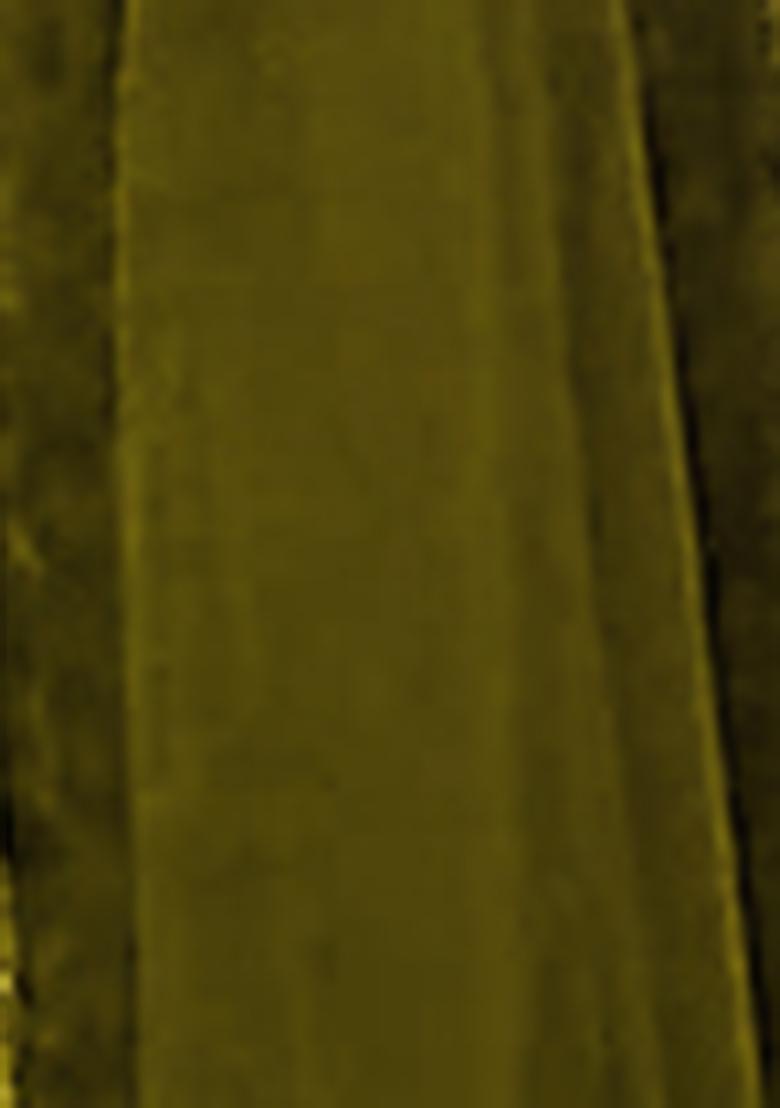 Green Lehenga Set With Hand Embroidered Blouse And Dupatta