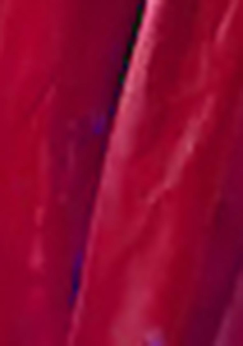 Red Lehenga Set With Hand Embroidered Blouse And Dupatta